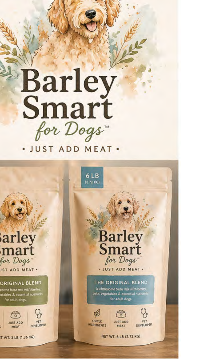 Barley Smart identity, packaging and visual system concepts