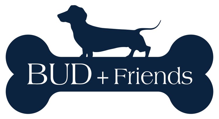 Bud + Friends