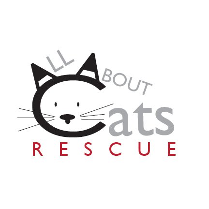 All About Cats Rescue
