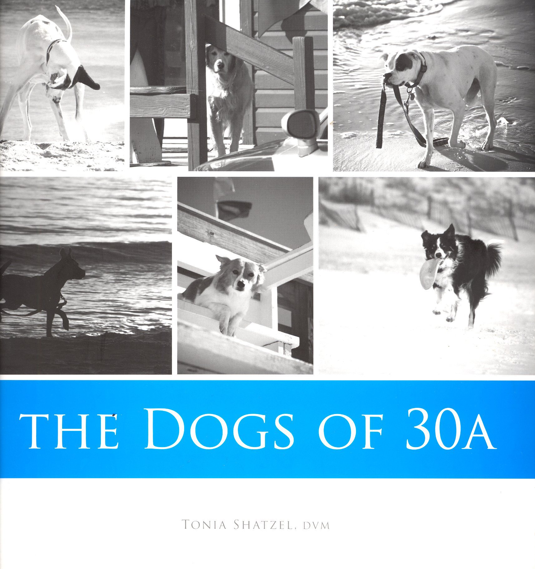 Dogs of 30A book cover